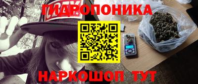 Альфа ПВП Будённовск