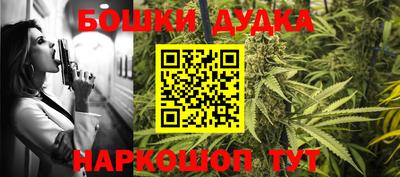 Альфа ПВП Будённовск