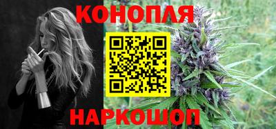 Альфа ПВП Будённовск