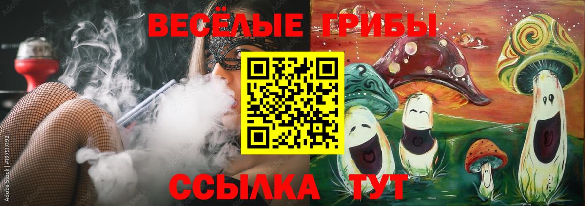 Асино  Псилоцибиновые грибы Magic Shrooms  Вход с VPN  Галлюциногенные грибы MAGIC MUSHROOMS 
